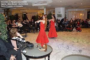 AOBR 2013 12 29 2014 01 03 LE REVEILLON EN ESPAGNE (37)
